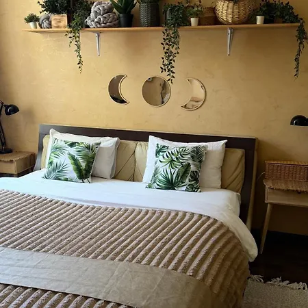 Luxury Apartment
